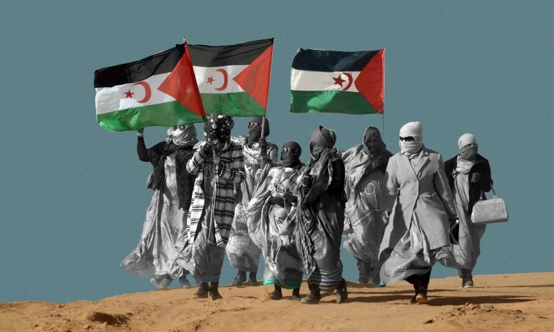 main youngpeoplefromwesternsaharatalkabouttheircauseandtheirreality 913786 114897