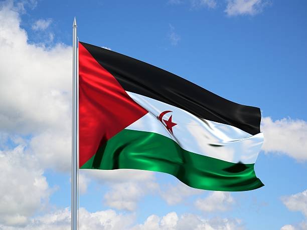 western sahara 3d flag floating in the wind with a blue sky in the background