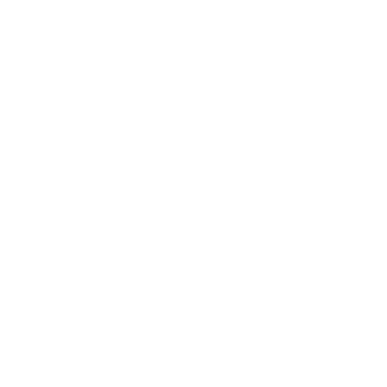 logo intyma